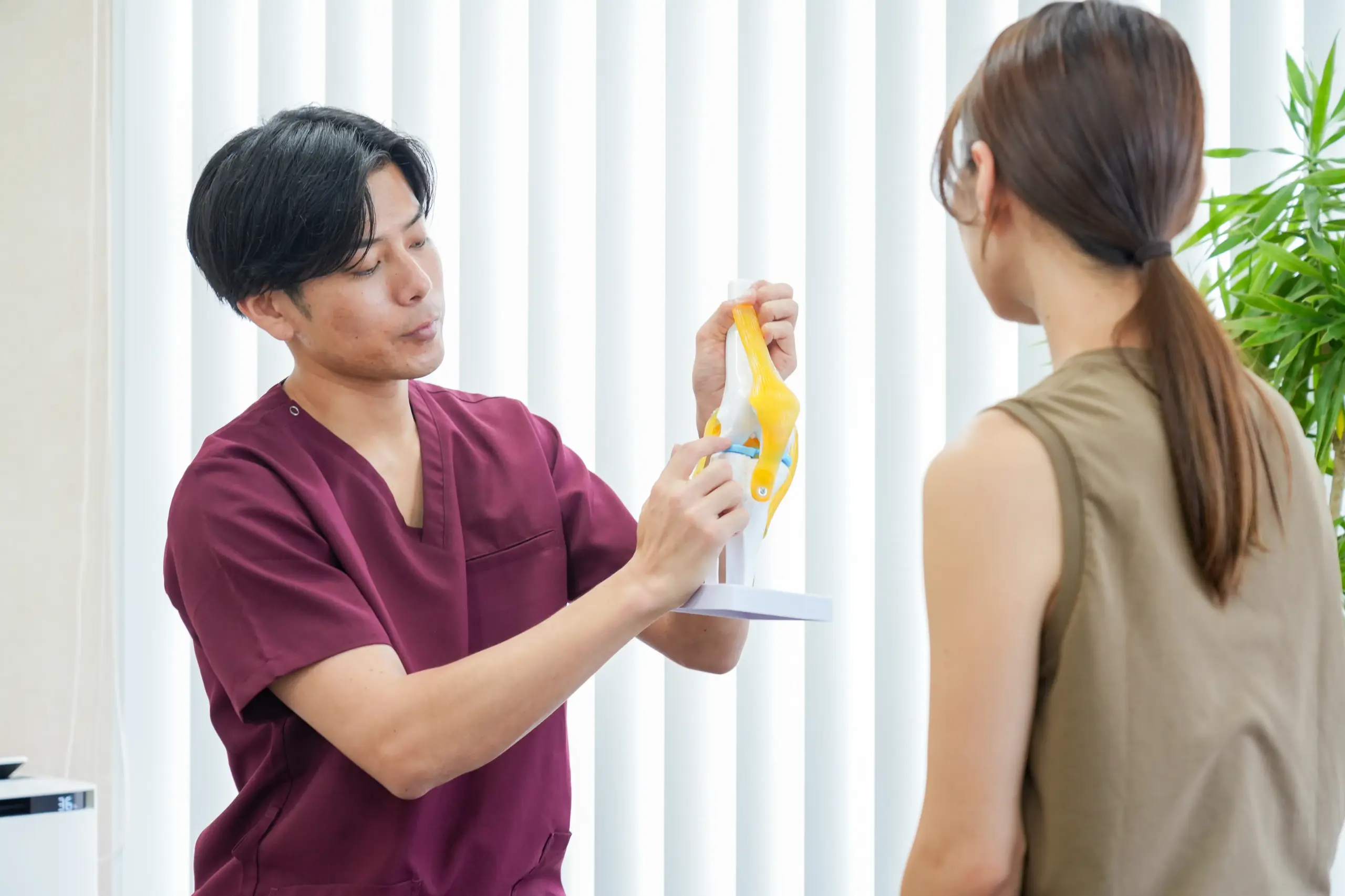 模型を見せて患者さんに説明する先生